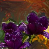 Фиолетовые тюльпаны :: Алла Шапошникова