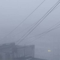 Туман :: galina bronnikova 