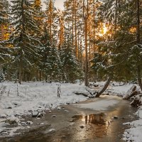 Зимняя река :: vladimir Bormotov