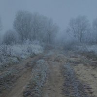 Дыхание зимы :: Алексей Щетинщиков