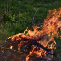 Огонь и пламя :: Tatiana Kretova