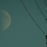 Луна и электросети.. :: Михаил Жуковский