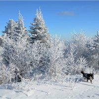 Ноябрь :: Владимир Тюменцев