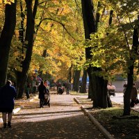 Осень в парке :: Андрей Николаевич Незнанов