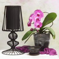 С орхидеей и настольной лампой :: Светлана Л.