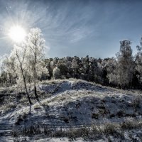 winter morning :: Dmitry Ozersky