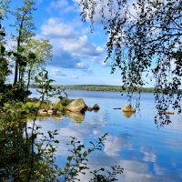 Берега парка Монрепо :: Светлана Петошина