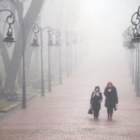 Walking in the fog :: alexander zvir