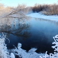 Окутал иней берега... :: Наталья Юрова