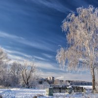 frosty day :: Dmitry Ozersky