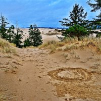 Орегонские дюны, США :: Михаил Аверкиев