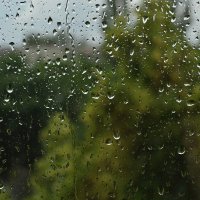 Дождь :: Tatiana Kretova