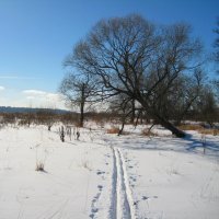 Зимний пейзаж2. :: Александр Атаулин