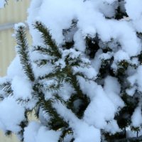 Снег в городе. :: Прима Игорь Кондратьевич 