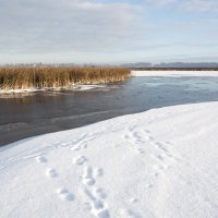 Замерзающая река :: Александр 