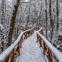 Зимняя зарисовка. Фото 2. :: Вячеслав Касаткин