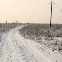 Дорога :: Радмир Арсеньев