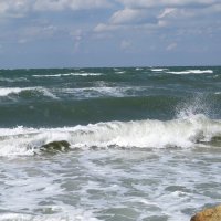 Море :: Вера Щукина