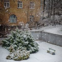 Зима... День первый... :: Сергей Офицер