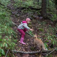 Девочка и кот. Встреча в лесу. :: Алиса Колпакова