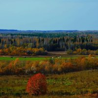 Сентябрь! :: Андрей Генинг.