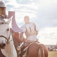 Рыцарь на белом коне :: Елена Оберник