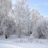 зима :: Алена Булдина
