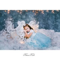 Снежная принцесса :: Tatiana Treide