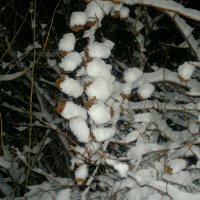 ночью выпал снег :: Александр Прокудин