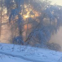 Зимний закат :: Мария Кухта