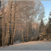 А за городом зима, зима, зима... :: Olenka 