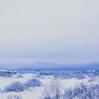 Зимний пейзаж.2015 :: Артём Бояринцев