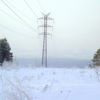 Зима в Сибири :: alemigun 