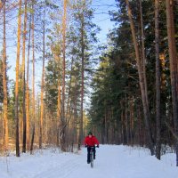 Велосипедист средь зимы . :: Мила Бовкун