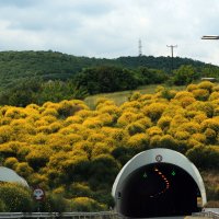 В пути в г. Верия :: Александр Картеропуло