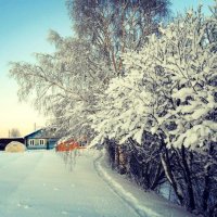 Морозный декабрьский денёк :: Николай Туркин 