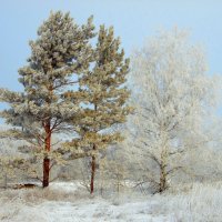 Наряды к празднику готовы. :: nadyasilyuk Вознюк