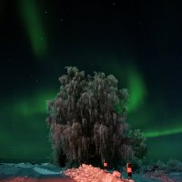 northern lights :: Aleksandr Tishkov