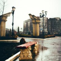 Дождь :: Сахаб Шамилов