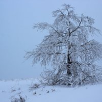 Одиночество :: Юлия 