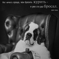 Курить вредно! :: Андрей Потапов