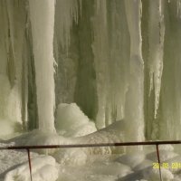 Ледниковые энергоджунгли :: Виктор Мухин