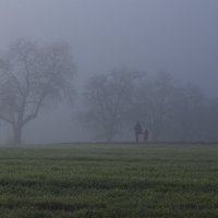 Двое в тумане :: Walter Dyck