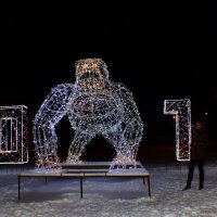 2016-год обезъяны... :: Александр Прокудин