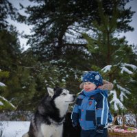 Весельчаки :: Ольга Осипова