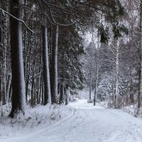 Зима :: Леонид Никитин