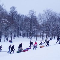 В Павловском парке :: vadim 