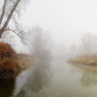 Туман. :: Евгений Герасименко