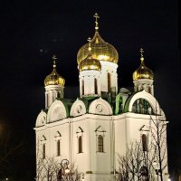 Екатерининский Собор в Пушкине :: Олег Попков