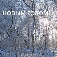С Новым Годом!!! :: Олег 